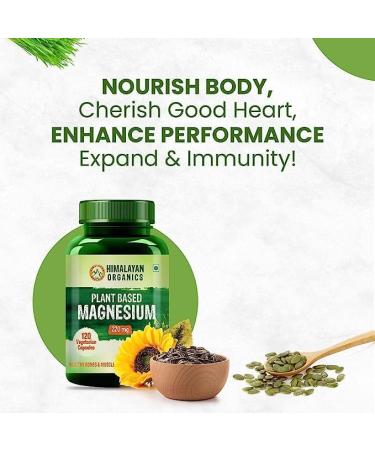 Plant Based Magnesium Supplement 220mg with Turmeric, Spirulina, Wheatgrass, Moringa - 120 Veg Capsules | Supports Bone, Muscle Health & Energy Boost - Buy Online on GoSupps.com
