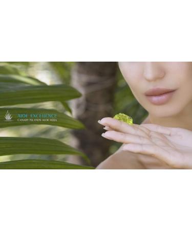 ALOE EXCELLENCE - Nourishing Face & Body Cream with Aloe Vera & Rosehip Oil | International Shipping Available - Buy Online on GoSupps.com