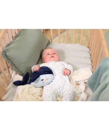 KALOO Petit Calme Blue Whale - Soothing Plush Toy for Babies (32 cm) | Heat Cushion with Hot/Cold Effect | Soft & Removable Cover | Ideal from Birth - Buy Online on GoSupps.com