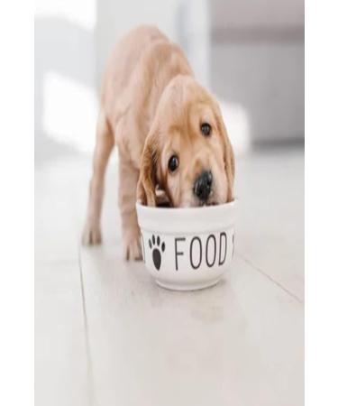 Food PURA Brewers Yeast Powder 3KG - use with Horses Ponies Vitamin B E & H for Pets and Animals - For Healthy Skin and Coats - also Human FOOD Grade! - Buy Online on GoSupps.com