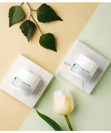 Buy Tea Tree Cream - Pure Moisturizer for Dry Skin & Blemishes | Korean Skincare 50ml - Buy Online on GoSupps.com