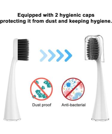 Replacement Toothbrush Heads for Burst Electric Toothbrush - Soft Charcoal Bristles Deep Cleaning Plaque Removal - 10 Count with Dust Covers - Buy Online on GoSupps.com