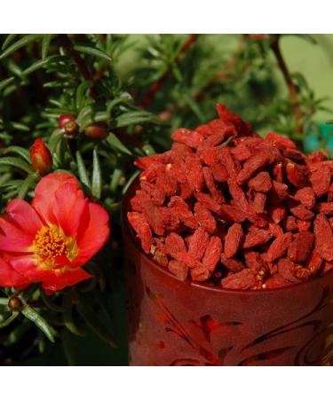 ASPER M HLE Goji Berries - Premium Quality 500g