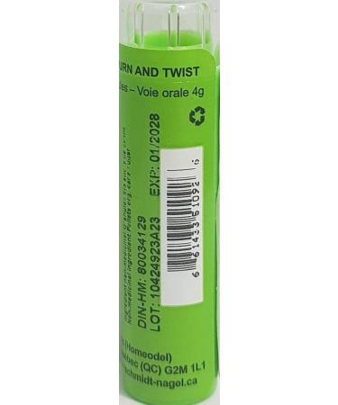 Arum Triphyllum 200K Homeopathy Medicine Schmidt-Nagel Canada (Homeodel) 90 pellets/granules - Buy Online on GoSupps.com