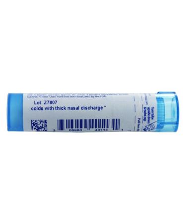 BOIRON USA Kali Bichromicum 30c - Homeopathic Allergy Relief | Fast International Shipping - Buy Online on GoSupps.com