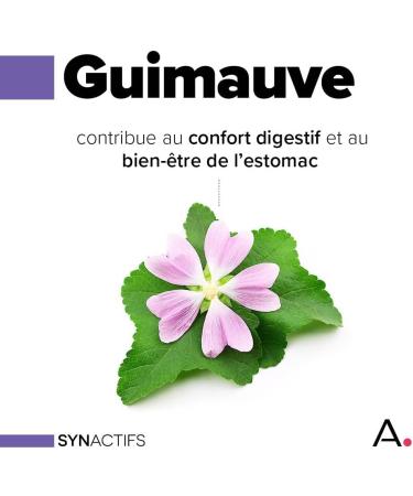 ARAGAN - Synactives - StomaProtect Bio - Digestive Comfort Food Supplement - Marshmallow Melissa Banana Papaya and Pomegranate - 14 tablets - 5 to 14 days taken - Made in France - Buy Online on GoSupps.com
