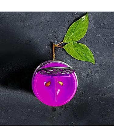 Lensbix Purist Pink Contact Lens Case - Sleek Design for Modern Living | International Shipping Available - Buy Online on GoSupps.com
