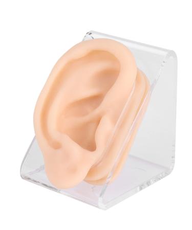 Ear Acupuncture Model Skin Friendly Practice Ear Model Silicone for Centers for Otolaryngology Pharmacies for Hospitals