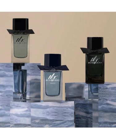 BURBERRY Mr Eau de Parfum Woody Aromatic Men's Cologne With Notes of Tarragon Cinnamon Patchouli & Vetiver Long Lasting Fragrance 3.3 Fl Oz (Pack of 1) - Buy Online on GoSupps.com