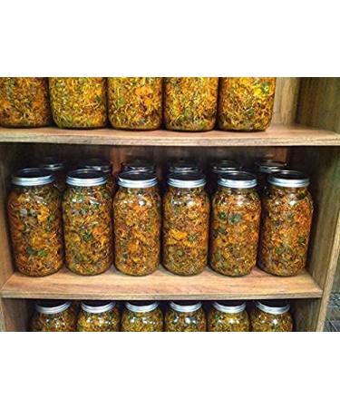 MJs Herbals Calendula Salve | Skin Soothing Eczema Cream 1 oz - Organic Calendula & Propolis Beeswax for Diaper Rash, Scar Treatment & Bug Bite Relief - Buy Online on GoSupps.com