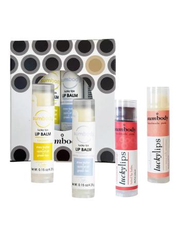 Lip Balm Beeswax Gift Set -Assorted Flavors Shea & Coconut Butters Nourishing Soothing Lip Moisturizer for Dry Cracked Chapped Lips Made in USA 100% Natural Ingredients for women Men kids Cantaloupe Ginger Vanilla Coconut Cinnamon Tint