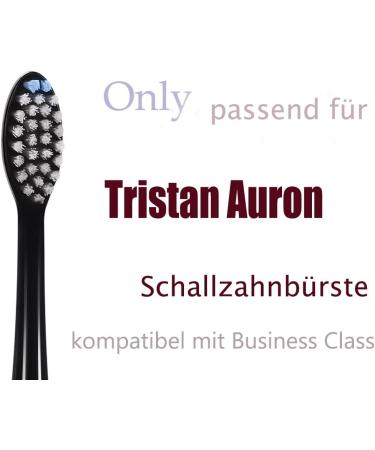 Buy Savtmva Brush Heads for Tristan Auron - Replacement Brushes (10 PCs Black) | International Shipping Available - Buy Online on GoSupps.com