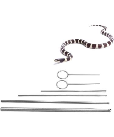 HEEPDD Snake Probe Tool 6 Pcs Snake Probe Kit Stainless Steel Round Head Anti Allergy Reptiles Snake Sexing Probe - Buy Online on GoSupps.com