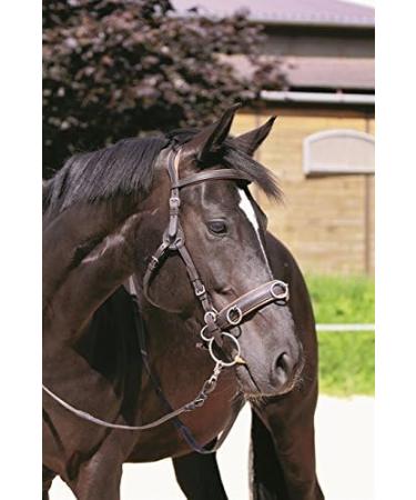 Buy Headpiece Contour Physio in Brown COB - VB | International Shipping Available - Buy Online on GoSupps.com