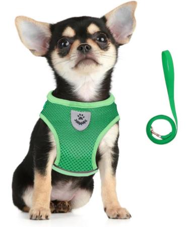 Femax Dog Harness & Linen Set - Soft Mesh Padded for Puppies & Cats | Reflective Adjustable Breathable - XS (26-29 cm) - Perfect for Walking Running Training - Buy Online on GoSupps.com
