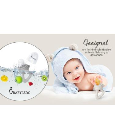 Buy BABYLEDO Baby Fruit Pacifier & Teething Ring - Raccoon Gray | Ideal Teething Aid for Fruits & Vegetables - International Shipping Available - Buy Online on GoSupps.com
