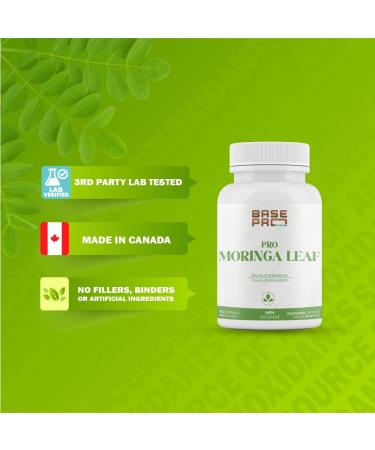 PRO Moringa Leaf Capsules - 120 CAPSULES | Moringa Leaf 1200mg per Serving | Base Pro Nutrition | 120 Vegetarian Capsules | Pro Moringa Leaf Powder | MORINGA - Buy Online on GoSupps.com