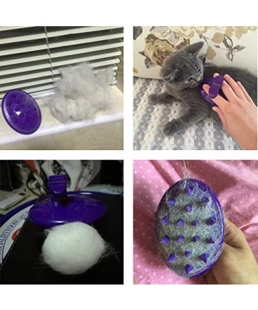 Soft Dual Rubber Pins CeleMoon Cat Brush | Silicone Washable Grooming Shedding Massage Bath Pet Brushes | Safe & Gentle | Removes Hair Mats, Tangles, and Loose Fur | For Short to Long Hair Indoor Cat Kitten - Buy Online on GoSupps.com