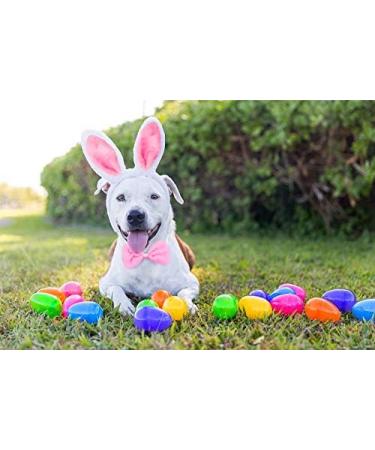 Dog Bunny Costume Set Pet Rabbit Ears Headband Tail and Cat Bowtie Collar - Buy Online on GoSupps.com