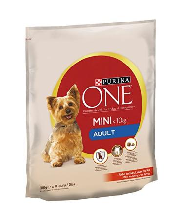 Purina ONE Mini 