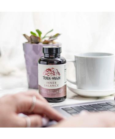TERRA ORIGIN Inner Balance Supplement Capsules | Stress Relief Formula with Rhodiola, Astragalus, Holy Basil & Ashwagandha | 90 Servings - Buy Online on GoSupps.com