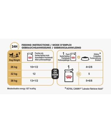 Royal Canin Labrador Retriever Adult in Gravy Wet Dog Food 140g (Pack of 40) - Buy Online on GoSupps.com