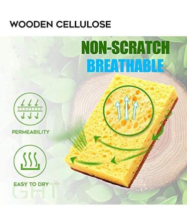 Petersty 16 Pack Biodegradable and Compostable Sponges Scouring Pad Palm Fiber -Friendly Sponge for Kitchen Dishes Cleaning - Buy Online on GoSupps.com