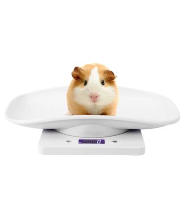 Digital Pet Scale, Accurately Weigh 10kg/1g Small Pet Weight Scale for Cats Dogs Measure Tool Electronic Kitchen Scale