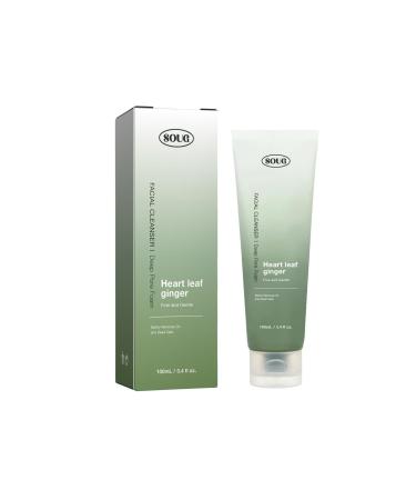 Facial Cleanser - Salicylic Acid Face Wash - Salicylic Acid Cleanser for Acne Treatment - Exfoliating Face Wash with Heart Leaf Ginger - Clean and Clear & Rich Foam - for Acne Prone Skin