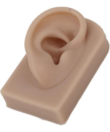 Flexible Brown Right Ear Model for Earrings Display and Acupuncture Training - Buy Online on GoSupps.com