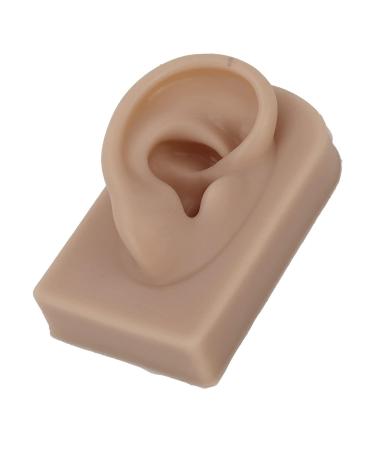 Reusable Human Ear Model - Right Ear for Piercing Training & Display (Brown) - Buy Online on GoSupps.com