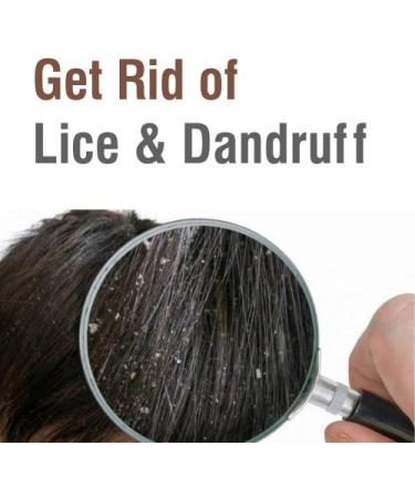 Salvia AJWAIN Oil 100% Natural Pure Undiluted Uncut Essential Oil (15ml) Ajwain 15 ml (Pack of 1) - Buy Online on GoSupps.com