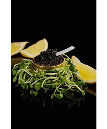 20g of black sturgeon caviar | Siberian sturgeon | Acipenser baerii | Fish caviar | Malossol Caviar | Black caviar | - Buy Online on GoSupps.com