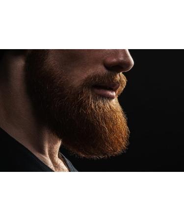 Elemental Beard Oil - Softens Moisturizes & Promotes Growth | All Beard Types | 1 FL OZ - Buy Online on GoSupps.com