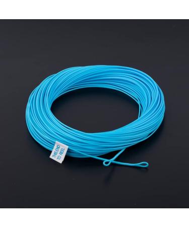 HERCULES WF5F 100FT Floating Weight Forward Fly Fishing Line - Teal Blue - Buy Online on GoSupps.com