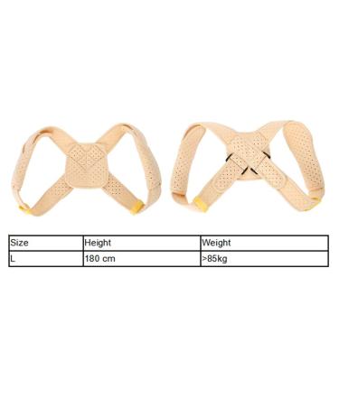 FILFEEL Posture Corrector for Men & Women | Clavicle & Shoulder Support | Relieve Pain & Improve Posture | Upper Back Brace (L - Buy Online on GoSupps.com