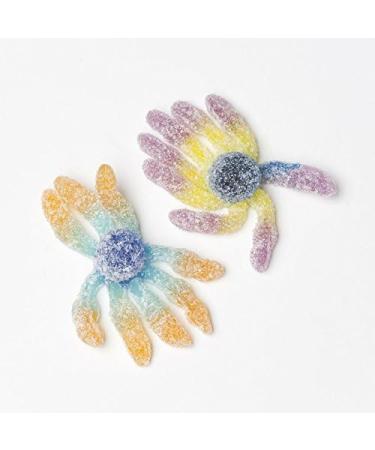 Trolli - Octopus Acid - Gummy Candy - 1000g - Buy Online on GoSupps.com