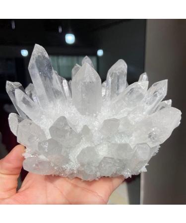 Natural Crystal Rough Crystal 1000g Natural Clear White Quartz Crystal Cluster Point Stone (Size : 1000g) - Buy Online on GoSupps.com