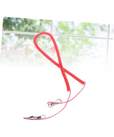HANABASS 2 Pcs 10 Bird Leash Rabbit Leash Bird Harness Chicken Harness Bunny Leash Cockatiel Parrot Leash Size 4x2pcs As Shownx2pcs - Buy Online on GoSupps.com