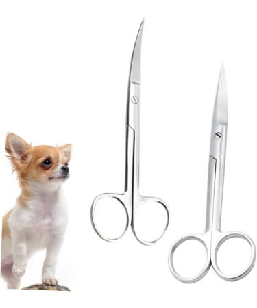 Buy Minkissy 6 Pcs Stainless Steel Scissors Set - Straight & Round Head for Crafting & Hair Cutting | International Shipping Available - Buy Online on GoSupps.com