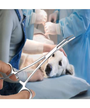 Pet Ear Hair Tweezers Stainless Steel Hemostat Forceps for Dogs Cat Grooming Locking Tweezers - Buy Online on GoSupps.com