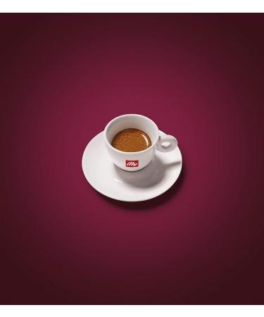  Italian Gourmet E.R. Pack of 2 packs of Illy Intenso and strong roast ground coffee 100% Arabica ground 2 x 250g + Italian Gourmet Polpa 400g - Buy Online on GoSupps.com