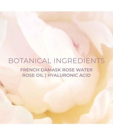 Rose Softener Face Toner (1.69 oz) | Soothing Damask Rose Water | Intense Moisture & Refreshing Skin | Korean Skincare - Buy Online on GoSupps.com