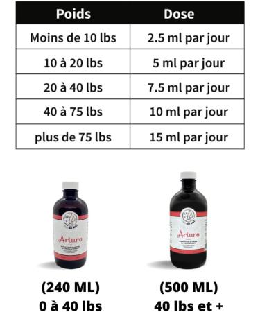 Phyto Ani-Maux Arturo (500 ML) - Natural Herbal Medicine Product (Cats and Dogs) Good Joint Health. - Buy Online on GoSupps.com