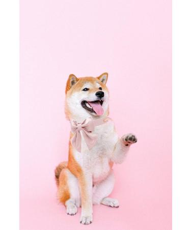 Shop Unique Style Paws Silk Pink Dog & Cat Wedding Halison Band - Perfect for Small Puppies & Kittens | International Shipping - Buy Online on GoSupps.com