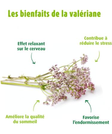 A.VOGEL Dietary supplement - Targeted action Insomnia & Restorative Sleep Relaxing and Melatonin Free - Fresh plant extract valerian Valerian drops - Organic plant active ingredients - 50 ml - Buy Online on GoSupps.com