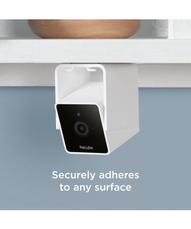 Petcube Cam Indoor Wi-Fi Pet and Security Camera with Phone App  Pet Monitor with 2-Way Audio and Video  Night Vision  1080p HD Video and Smart Alerts for Ultimate Home Security 1 camera - Buy Online on GoSupps.com