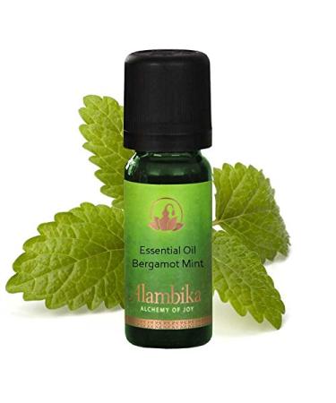 Buy 10ml Bergamot Mint Essential Oil - Pure Aromatherapy for Relaxation & Wellness | International Shipping Available - Buy Online on GoSupps.com
