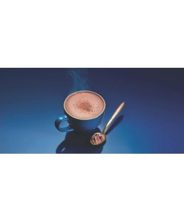 Ghirardelli Double Chocolate Hot Cocoa Mix 25 Count 0.85oz. Packet - Buy Online on GoSupps.com
