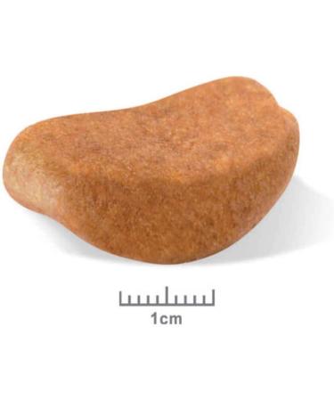 Royal Canin Dog Food Rottweiler 26 Dry Mix 12kg Poultry 12 kg (Pack of 1) - Buy Online on GoSupps.com